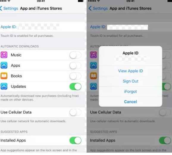 Tips to Reset iCloud Password on iPhone