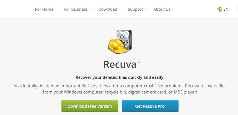 Recuva Professional 1.53.2096 instal the new version for ios