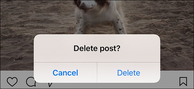 annuler la suppression des photos Instagram 3