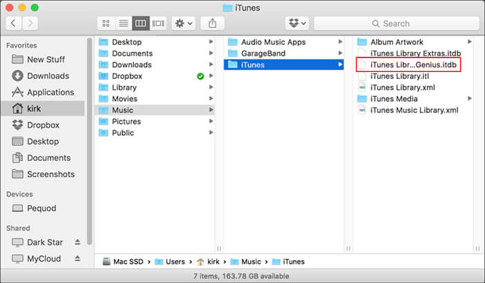 Delete itunes library file