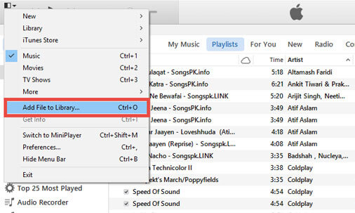 2 Easy Ways to Transfer Music from Windows Media Player to iPod