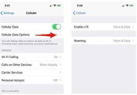 cellular data option