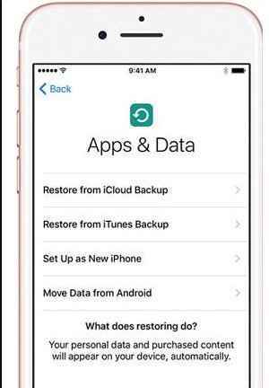 choose restore backup