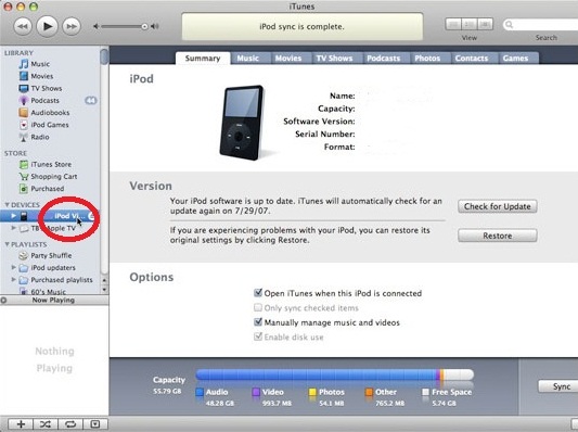 connect ipod to itunes